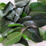 Makrut Lime Leaves