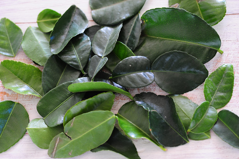 Makrut Lime Leaves